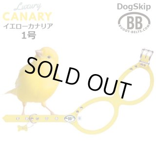 バディーベルト(Buddybelts)のカナリア（Canary）