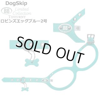 バディーベルト(Buddybelts)のロビンズエッグブルー（Robin's Egg Blue