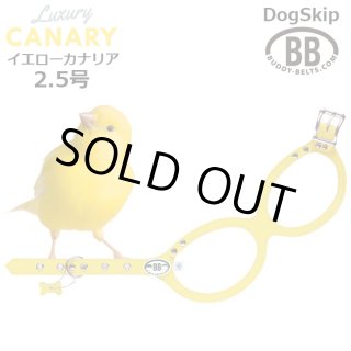バディベルト2.5号&オールレザーリードセット(canary) バディーベルト(Buddybelts)のカナリア（Canary）