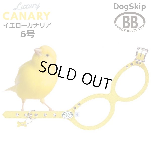 画像1: バディーベルト ハーネス 6号 カナリア（Canary） buddy-belts buddybelts (1)