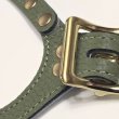 画像2: バディーベルトハーネス 8号 セージ・Sage (2)