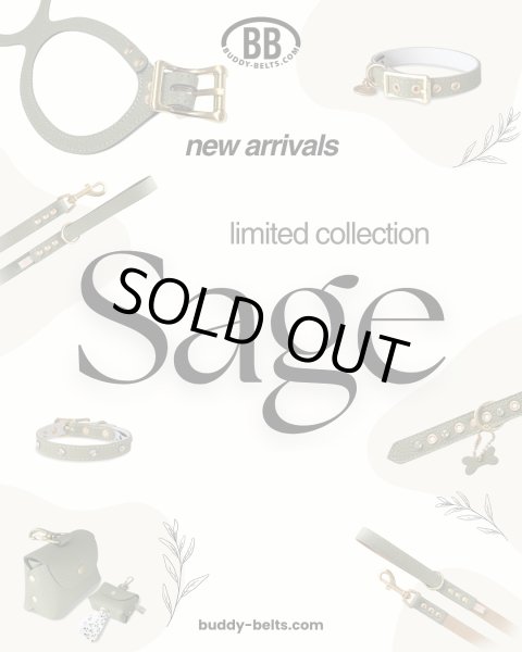 画像5: BB 首輪 セージ Sage 2号 スワロフスキークリスタル付 (5)