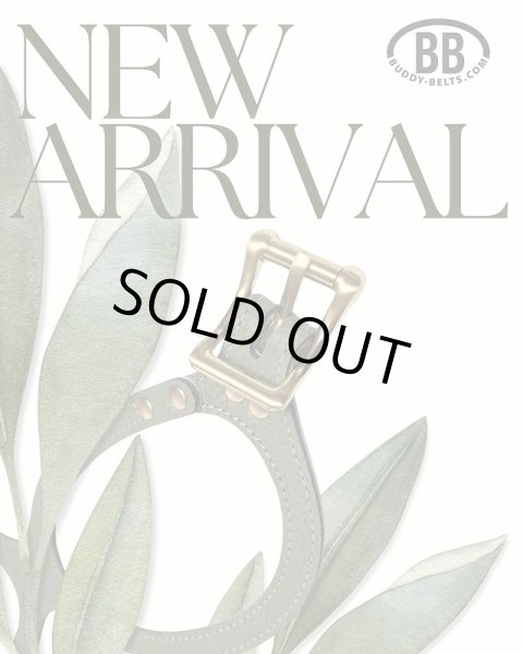 画像6: BB 首輪 セージ Sage 2号 スワロフスキークリスタル付 (6)