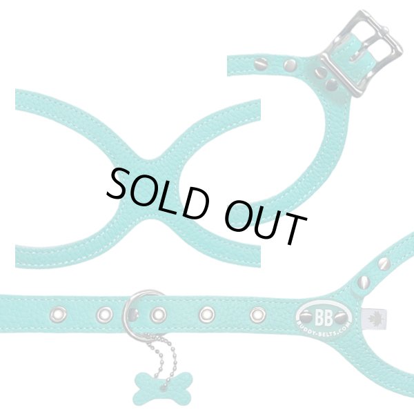 画像2: バディーベルト ハーネス 8号 ロビンズエッグブルー Robin's Egg Blue buddy-belts buddybelts バディーベルト卸販売 バディベルト卸販売 バディーベルト正規輸入代理店 正規店 (2)