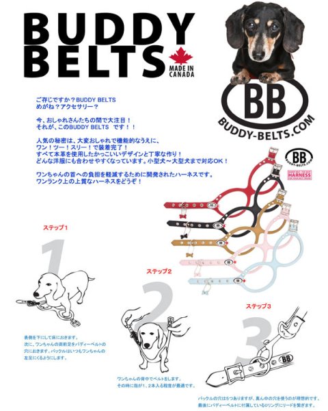 画像10: バディーベルト ハーネス 3.5号 ブラン Blanc (10)