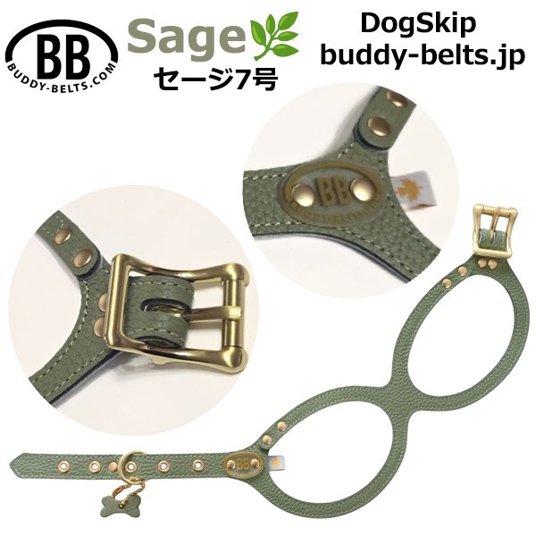 画像1: バディーベルトハーネス 7号 セージ・Sage (1)