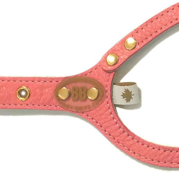 画像3: バディーベルトハーネス 4.5号 コーラルドリーム・CoralDream (3)