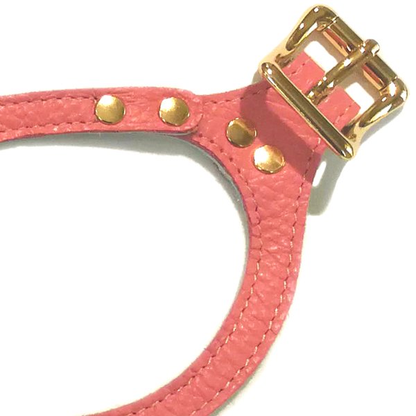 画像5: バディーベルトハーネス 4.5号 コーラルドリーム・CoralDream (5)