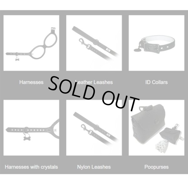 画像8: バディーベルト ハーネス 6号 ブラックナイト BlackKnight buddy-belts buddybelts バディーベルト卸販売 バディベルト卸販売 バディーベルト正規輸入代理店 正規店 (8)