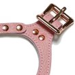 画像4: バディーベルトハーネス 6号 ブラッシュ・Blush (4)
