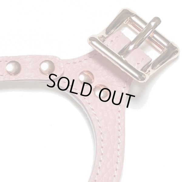 画像4: バディーベルトハーネス 2号 ブラッシュ・Blush (4)
