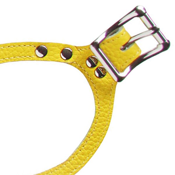 画像4: バディーベルト ハーネス 3.5号 カナリア(Canary) buddy-belts buddybelts (4)