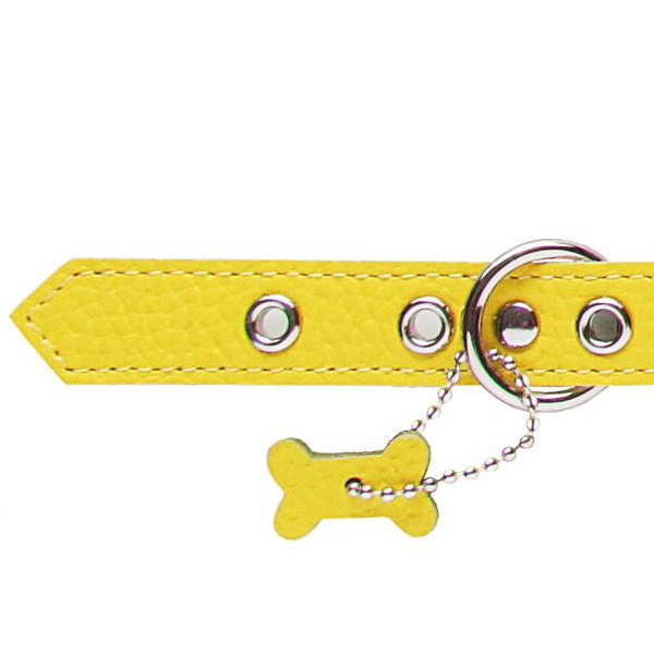 画像5: バディーベルト ハーネス 3.5号 カナリア(Canary) buddy-belts buddybelts (5)