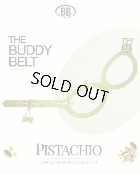 画像2: バディーベルトハーネス 2.5号 ピスタチオ・Pistachio (2)