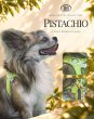 画像4: バディーベルトハーネス 2.5号 ピスタチオ・Pistachio (4)