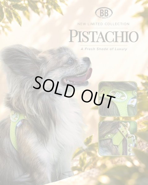 画像4: バディーベルトハーネス 4.5号 ピスタチオ・Pistachio スワロフスキークリスタル付 (4)