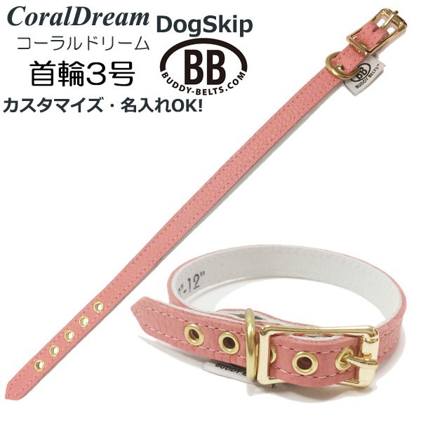 画像1: BB 首輪 コーラルドリーム・CoralDream 3号 (1)