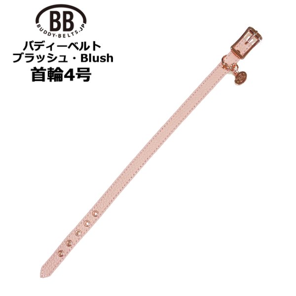 画像1: BB 首輪 ブラッシュ Blush 4号 (1)