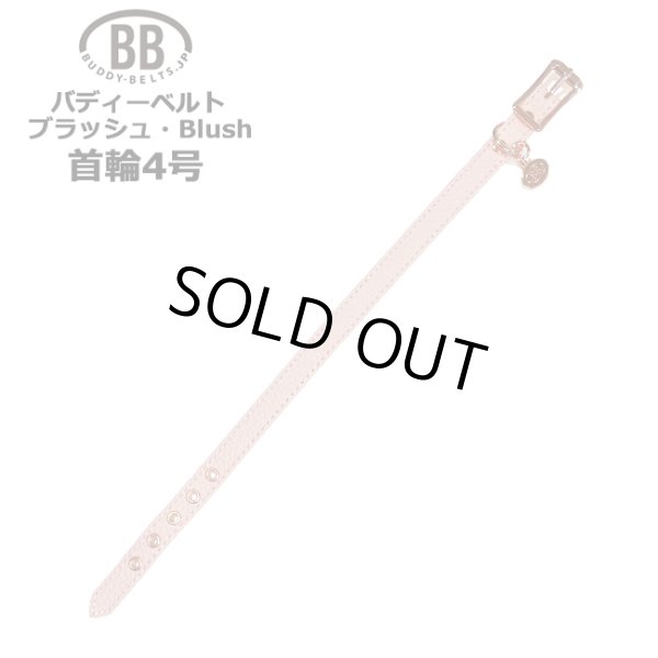 画像1: BB 首輪 ブラッシュ Blush 4号 (1)