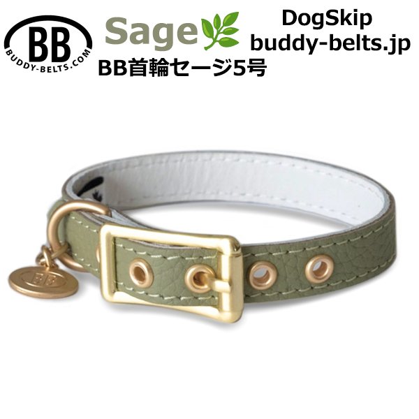 画像1: BB 首輪 セージ Sage 5号 (1)