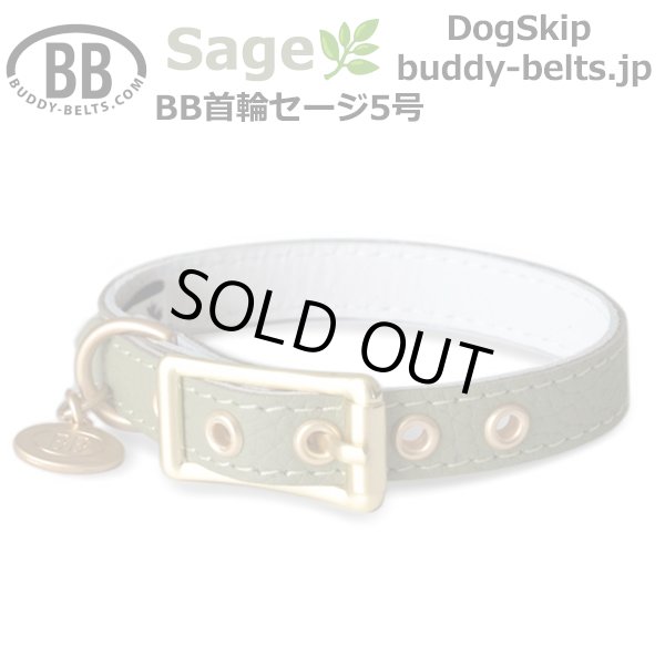 画像1: BB 首輪 セージ Sage 5号 (1)