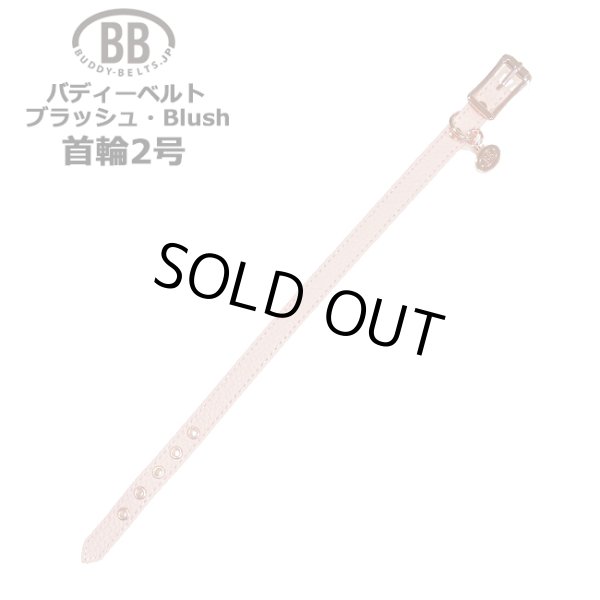 画像1: BB 首輪 ブラッシュ Blush 2号 (1)