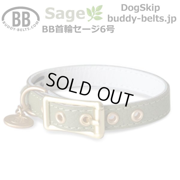 画像1: BB 首輪 セージ Sage 6号 (1)