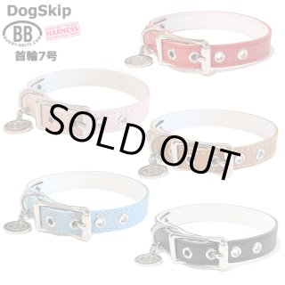 バディーベルト(Buddybelts)のプレミアムコレクション