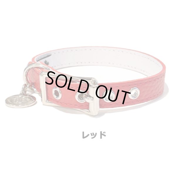 画像3: BB ID 首輪 7号 カラー バディーベルト buddybelt バディベルト Buddy Belts ID Collar (3)