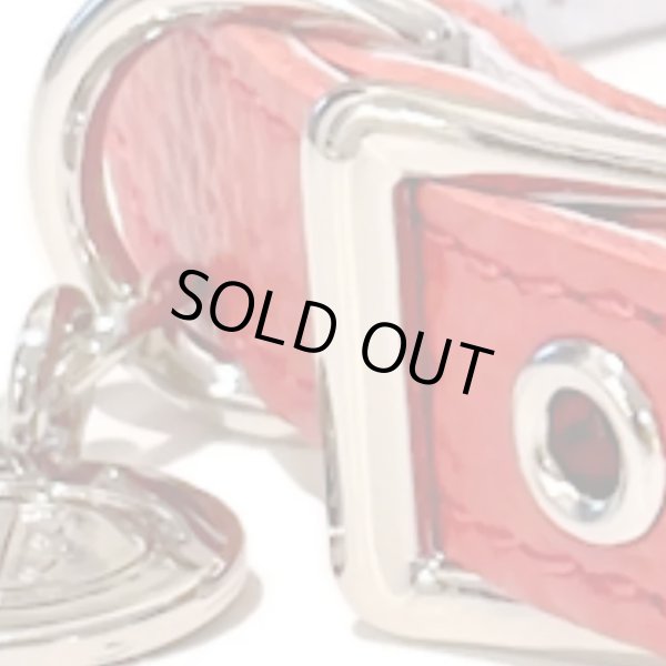 画像4: BB ID 首輪 7号 カラー バディーベルト buddybelt バディベルト Buddy Belts ID Collar (4)