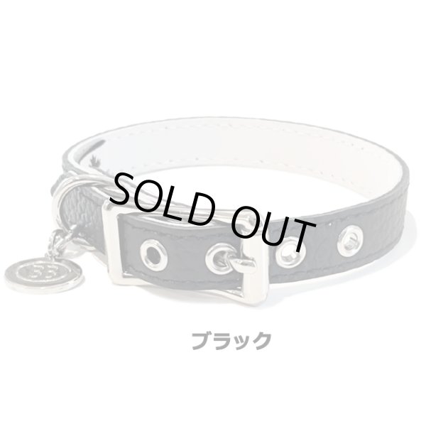 画像5: BB ID 首輪 7号 カラー バディーベルト buddybelt バディベルト Buddy Belts ID Collar (5)