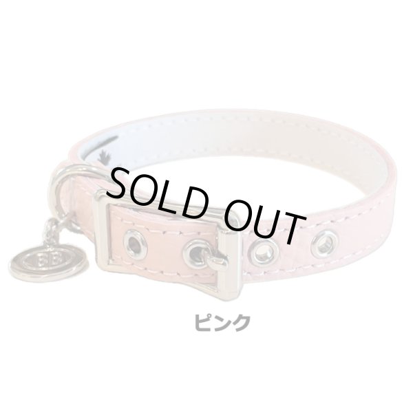 画像7: BB ID 首輪 7号 カラー バディーベルト buddybelt バディベルト Buddy Belts ID Collar (7)