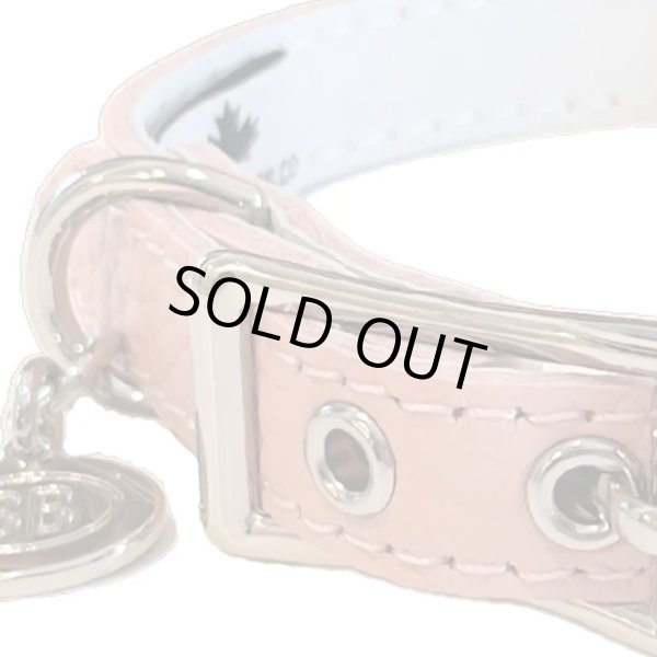 画像8: BB ID 首輪 7号 カラー バディーベルト buddybelt バディベルト Buddy Belts ID Collar (8)