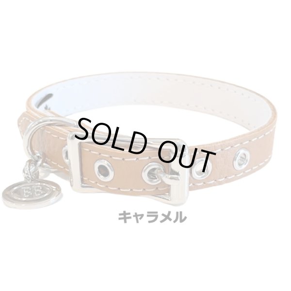 画像11: BB ID 首輪 7号 カラー バディーベルト buddybelt バディベルト Buddy Belts ID Collar (11)