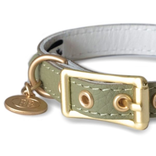 画像3: BB 首輪 セージ Sage 2号 (3)