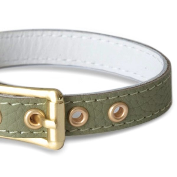 画像4: BB 首輪 セージ Sage 2号 (4)