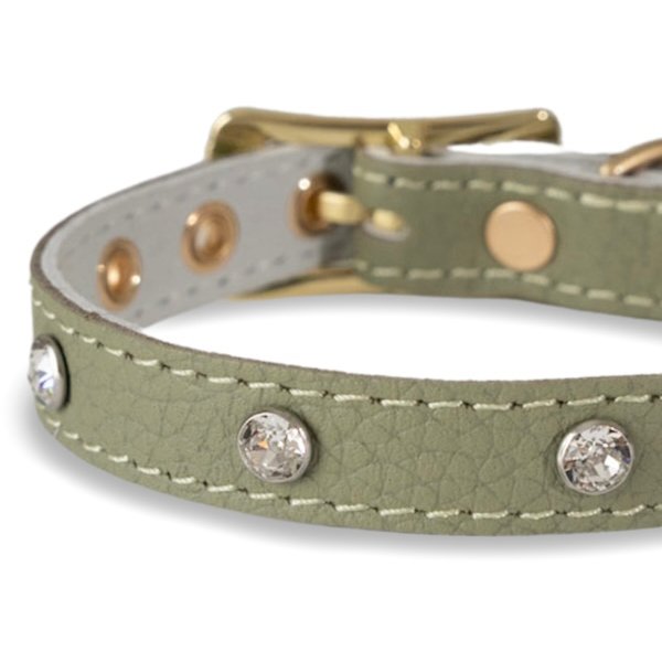 画像3: BB 首輪 セージ Sage 4号 スワロフスキークリスタル付 (3)