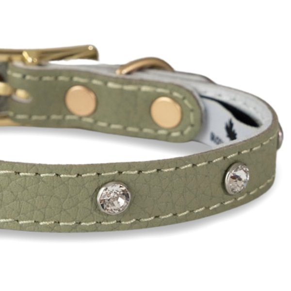 画像4: BB 首輪 セージ Sage 4号 スワロフスキークリスタル付 (4)