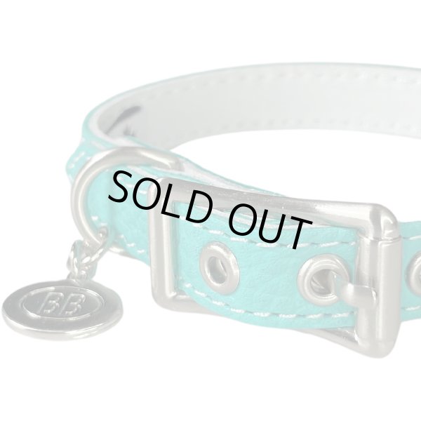 画像2: BB 首輪 ロビンズエッグブルー 1号 Robin's Egg Blue ID カラー バディーベルト buddybelt バディベルト (2)