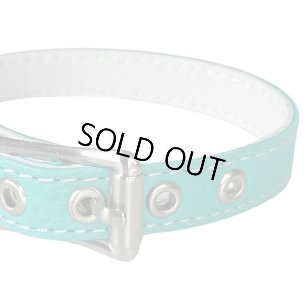 画像3: BB 首輪 ロビンズエッグブルー 1号 Robin's Egg Blue ID カラー バディーベルト buddybelt バディベルト (3)