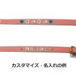 画像2: BB 首輪 コーラルドリーム・CoralDream 4号 (2)