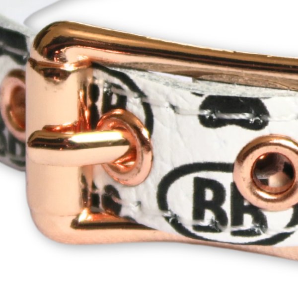 画像4: BB 首輪 ブラン 4号 Blanc ID カラー バディーベルト buddybelt バディベルト (4)