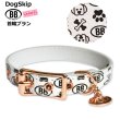 画像2: BB 首輪 ブラン 4号 Blanc ID カラー バディーベルト buddybelt バディベルト (2)