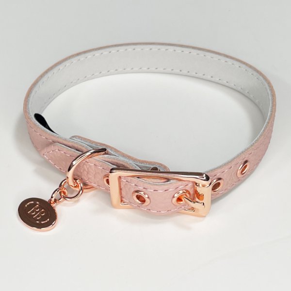 画像2: BB 首輪 ブラッシュ Blush 2号 (2)