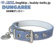画像2: BB 首輪 ダンガリー 4号 Dungaree ID カラー バディーベルト buddybelt バディベルト (2)