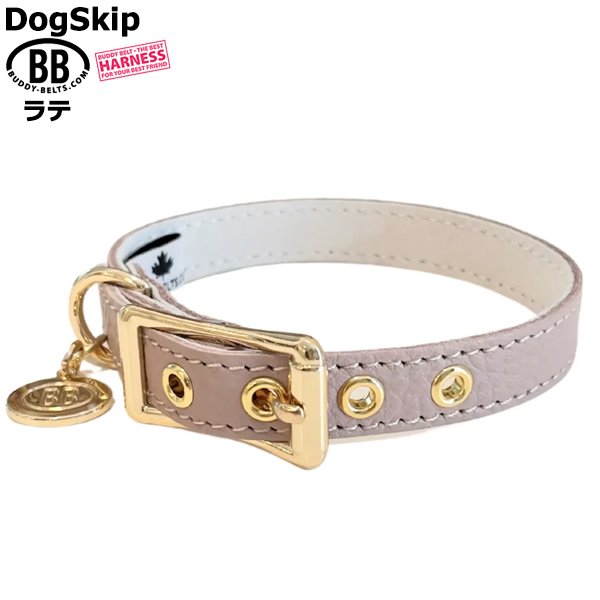 画像2: BB 首輪 ラテ 3号 Latte ID カラー バディーベルト buddybelt バディベルト (2)