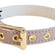 画像4: BB 首輪 ラテ 2号 Latte ID カラー バディーベルト buddybelt バディベルト (4)