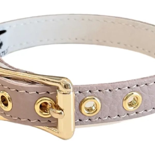 画像4: BB 首輪 ラテ 3号 Latte ID カラー バディーベルト buddybelt バディベルト (4)