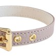 画像5: BB 首輪 ラテ 2号 Latte ID カラー バディーベルト buddybelt バディベルト (5)