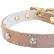 画像3: BB 首輪 ラテ 3号 スワロフスキークリスタル付 Latte ID カラー バディーベルト buddybelt バディベルト (3)